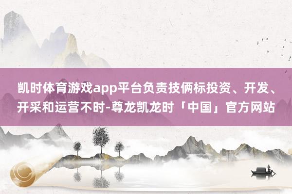 凯时体育游戏app平台负责技俩标投资、开发、开采和运营不时-尊龙凯龙时「中国」官方网站
