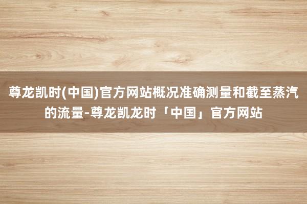 尊龙凯时(中国)官方网站概况准确测量和截至蒸汽的流量-尊龙凯龙时「中国」官方网站