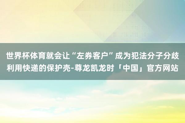 世界杯体育就会让“左券客户”成为犯法分子分歧利用快递的保护壳-尊龙凯龙时「中国」官方网站