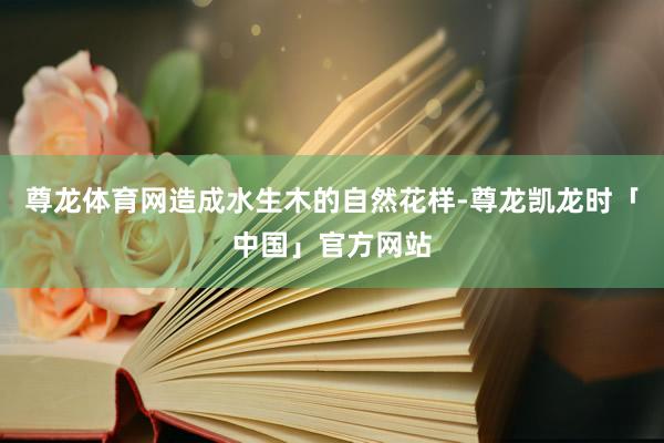 尊龙体育网造成水生木的自然花样-尊龙凯龙时「中国」官方网站