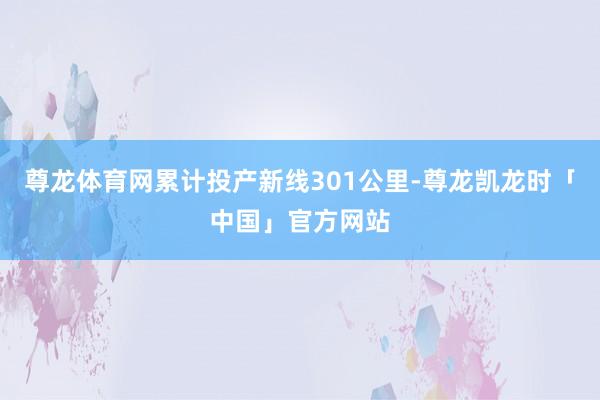 尊龙体育网累计投产新线301公里-尊龙凯龙时「中国」官方网站