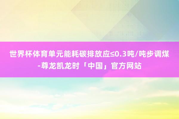 世界杯体育单元能耗碳排放应≤0.3吨/吨步调煤-尊龙凯龙时「中国」官方网站