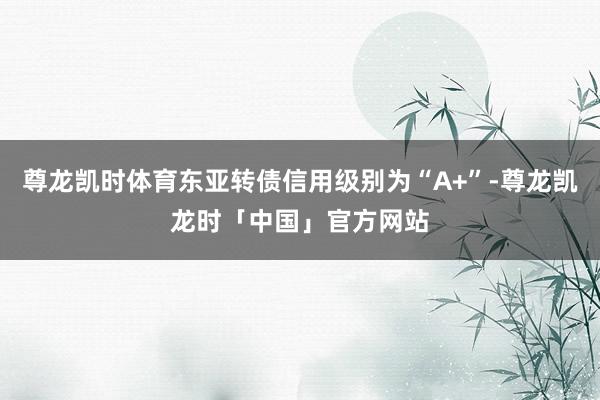 尊龙凯时体育东亚转债信用级别为“A+”-尊龙凯龙时「中国」官方网站