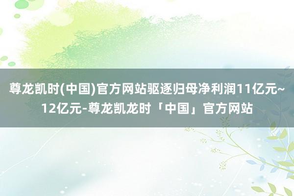 尊龙凯时(中国)官方网站驱逐归母净利润11亿元~12亿元-尊龙凯龙时「中国」官方网站