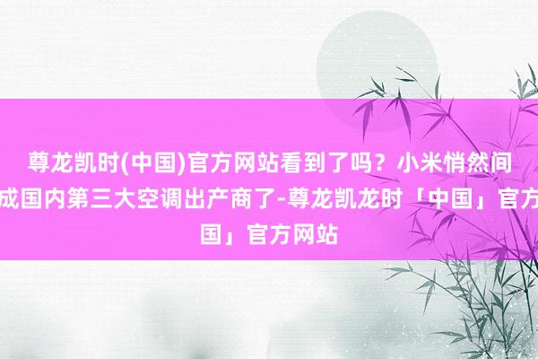 尊龙凯时(中国)官方网站看到了吗？小米悄然间依然成国内第三大空调出产商了-尊龙凯龙时「中国」官方网站