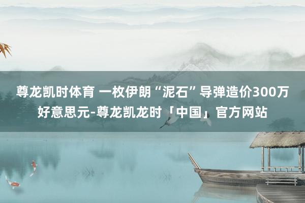 尊龙凯时体育 一枚伊朗“泥石”导弹造价300万好意思元-尊龙凯龙时「中国」官方网站