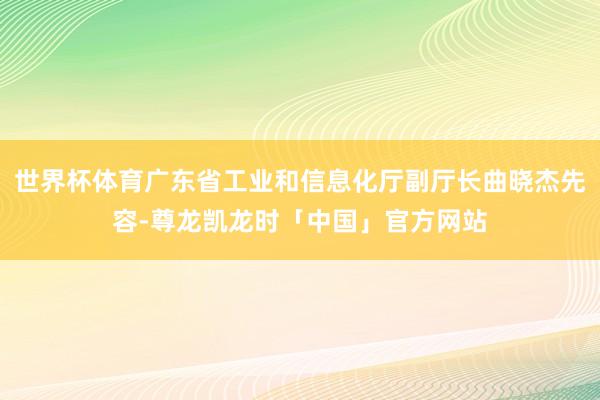世界杯体育广东省工业和信息化厅副厅长曲晓杰先容-尊龙凯龙时「中国」官方网站