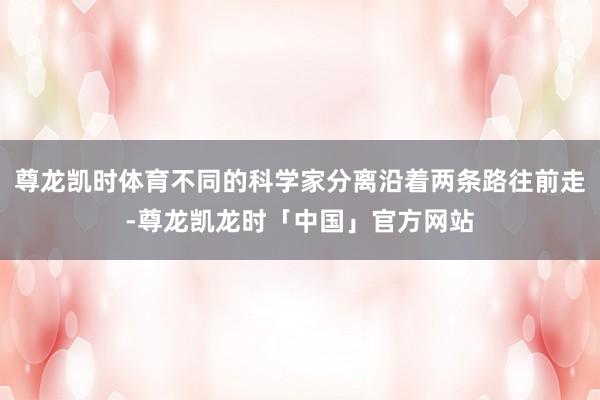 尊龙凯时体育不同的科学家分离沿着两条路往前走-尊龙凯龙时「中国」官方网站