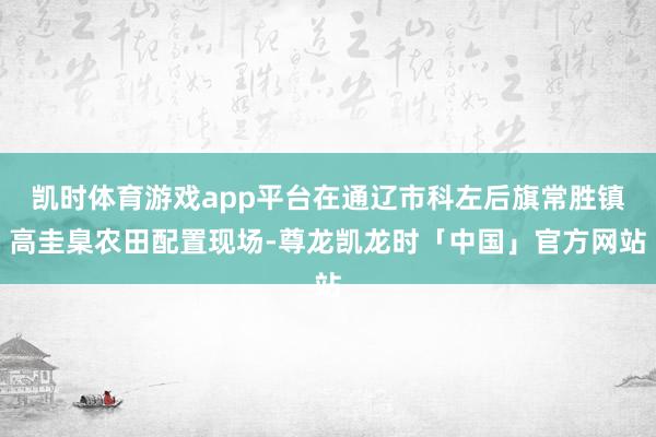凯时体育游戏app平台在通辽市科左后旗常胜镇高圭臬农田配置现场-尊龙凯龙时「中国」官方网站