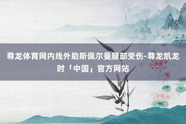 尊龙体育网内线外助斯佩尔曼腿部受伤-尊龙凯龙时「中国」官方网站